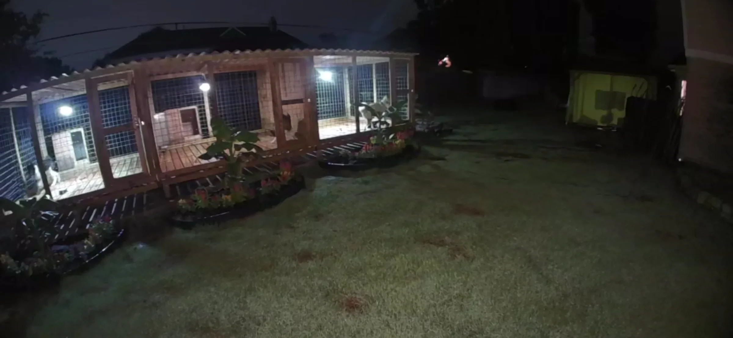 The kennel lit up at night